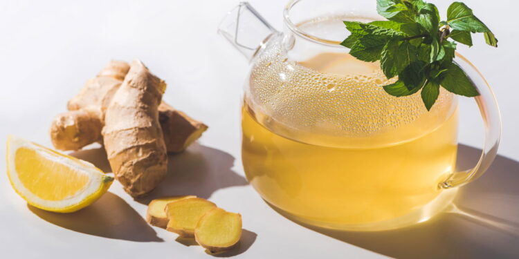 As plantas que fortalecem o sistema imunológico naturalmente