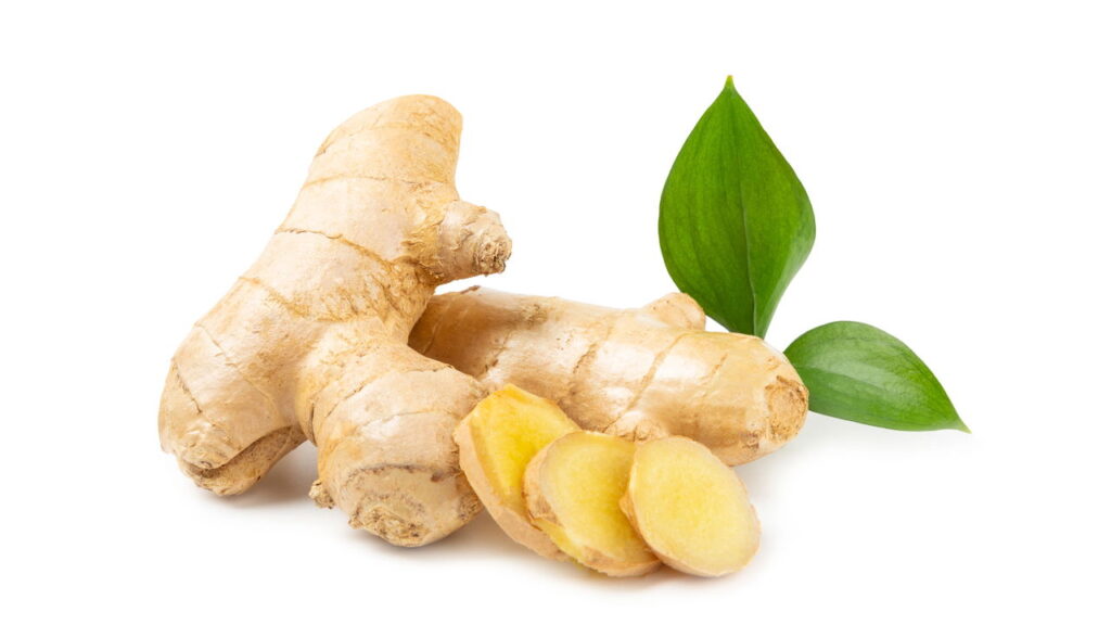 Plantas que fortalecem a imunidade natural e como cultivar