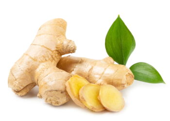 5 ervas medicinais que cuidam do corpo e da mente de forma natural