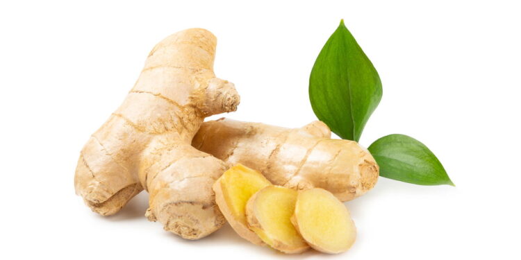 5 ervas medicinais que cuidam do corpo e da mente de forma natural