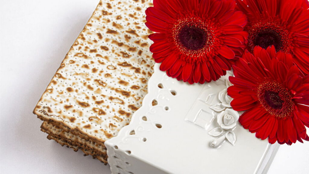 Quais flores dar para os signos aniversariantes do mês de outubro