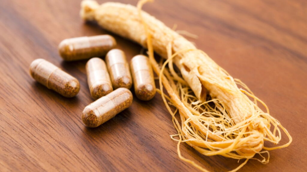 3 plantas que impulsionam a memória e a concentração diária