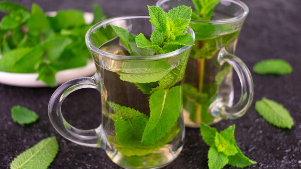 3 plantas que auxiliam no alívio de dores de cabeça e enxaquecas