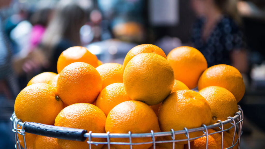 5 frutas cítricas que se adaptam a climas internos e colhem em estações variadas