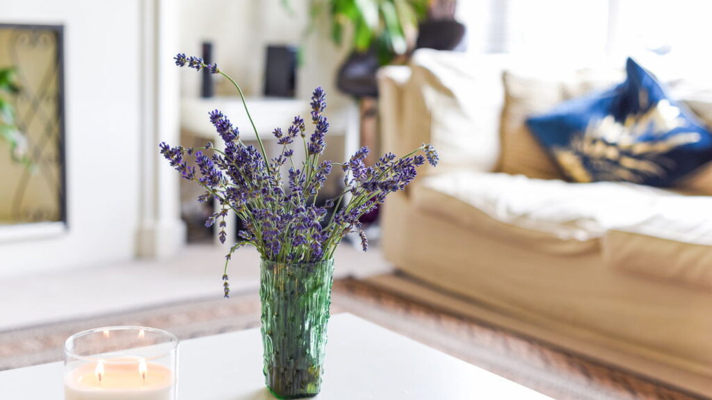 Essas plantas atraem diálogos positivos e resoluções pacíficas