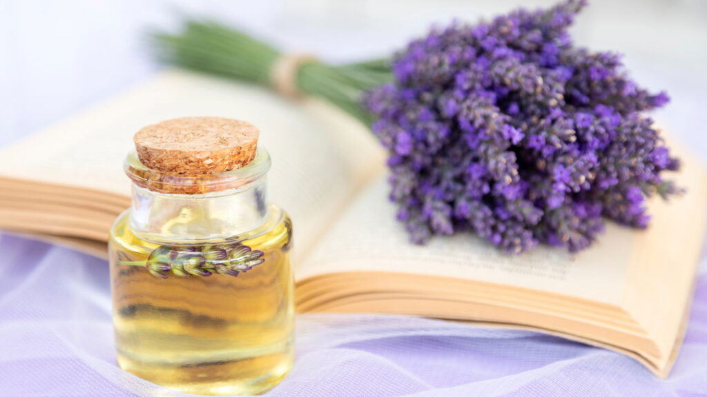 Qual planta vibra com a energia do seu signo