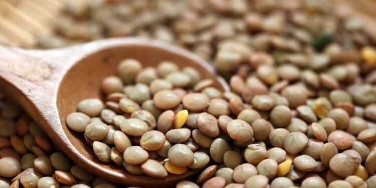 Legume nutritivo e saboroso ainda pode transformar sua horta