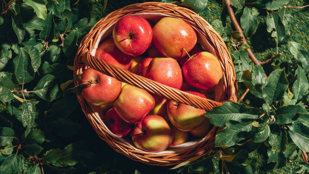 3 frutas doces que crescem bem com cobertura de matéria orgânica