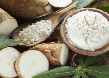 Ideia simples que mantém a mandioca fresca e deliciosa por semanas