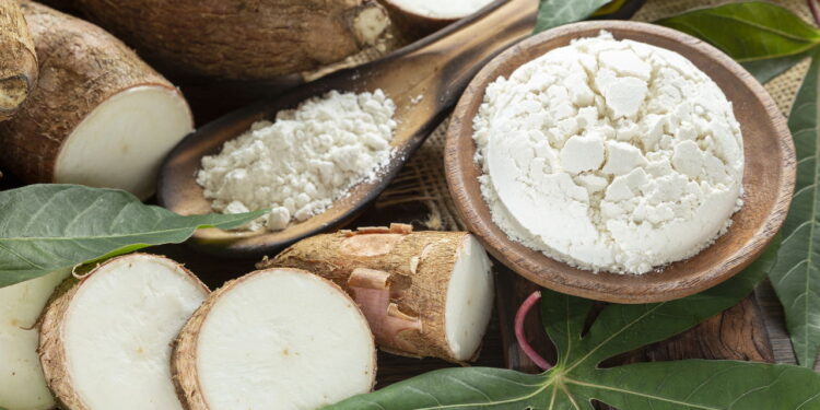 Ideia simples que mantém a mandioca fresca e deliciosa por semanas