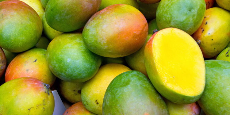 Como plantar mangas em vasos em casa de forma econômica