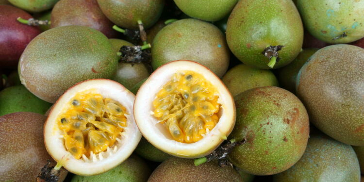 Como cultivar maracujás em quintais pequenos para iniciantes