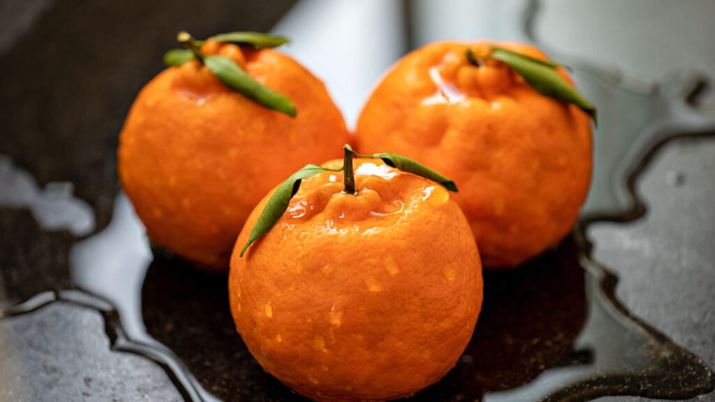 5 frutas cítricas que se adaptam a climas internos e colhem em estações variadas