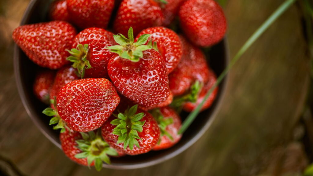 3 frutas coloridas que se adaptam a rotinas e colhem frescor semanal