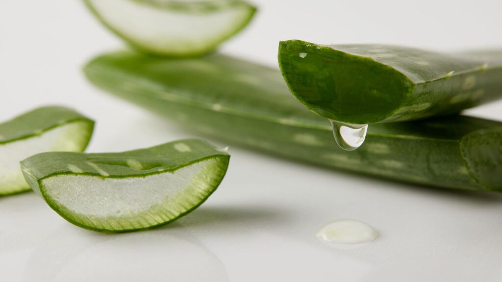 Essas 3 plantas medicinais têm efeitos reais na sua saúde física