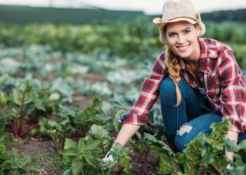 Essa planta atrai amor e harmonia nos relacionamentos segundo tradições antigas