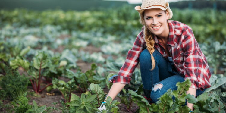 Essa planta atrai amor e harmonia nos relacionamentos segundo tradições antigas