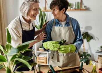 Essa planta atrai riqueza e prosperidade para sua casa