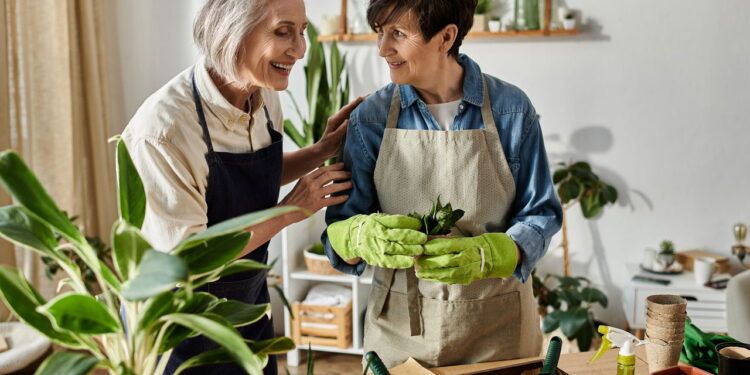 Essa planta atrai riqueza e prosperidade para sua casa