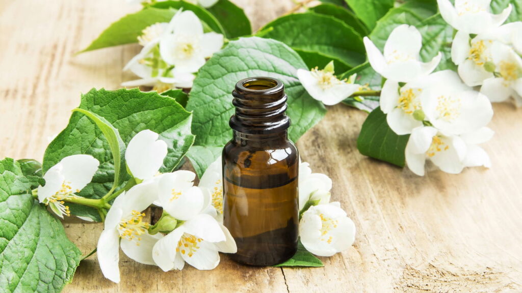 Receitas de flores que ajudam no foco durante leituras longas