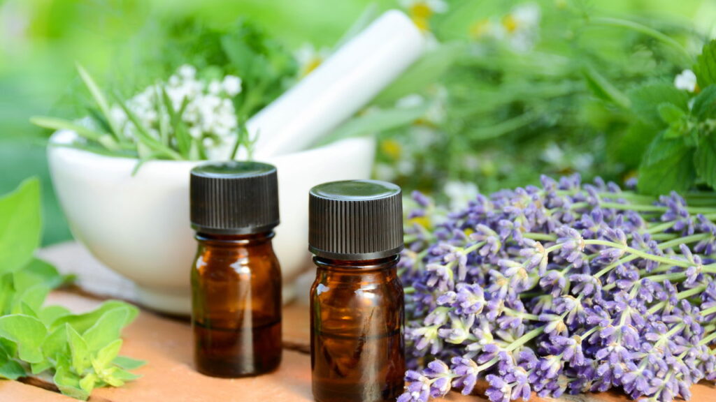 Receitas de flores que ajudam no foco durante leituras longas