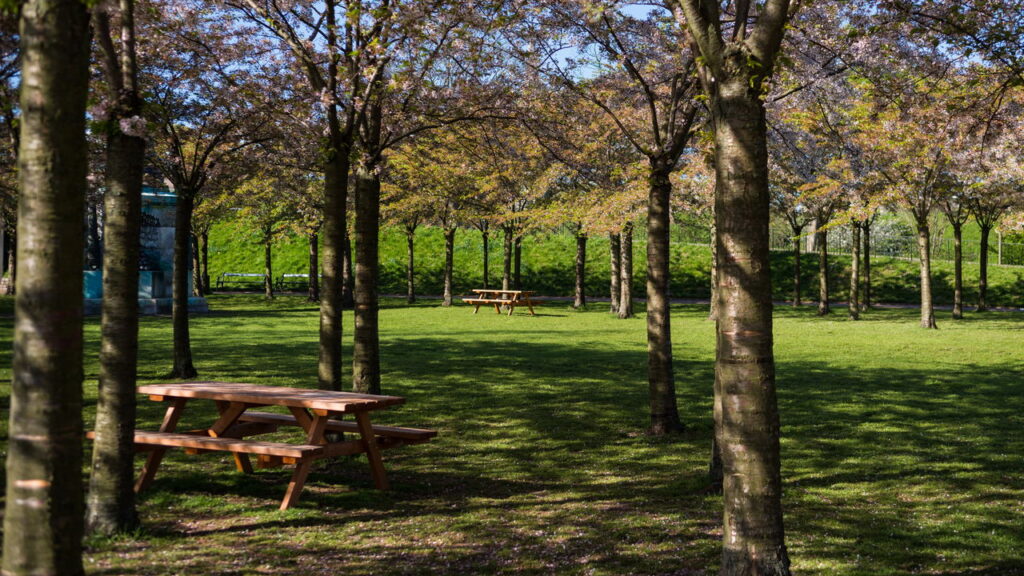 Parque turístico fecha as portas após negligência e dívidas milionárias