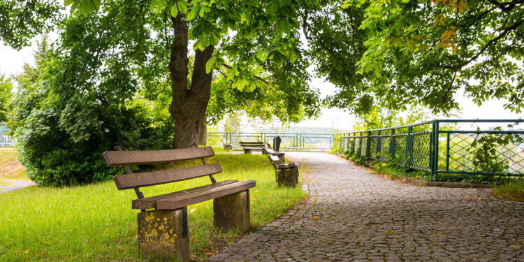 Parque turístico fecha as portas após negligência e dívidas milionárias