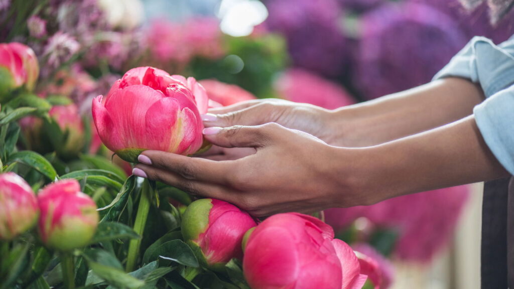 3 plantas com flores delicadas que infundem poesia e frescor na rotina