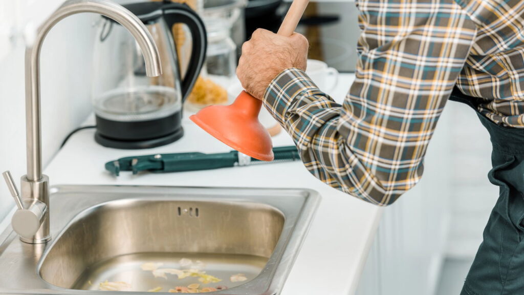 Truques simples de higiene que afastam pragas da cozinha