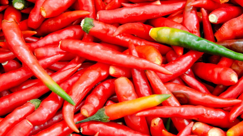 Como armazenar pimenta-malagueta por semanas sem perder o sabor picante