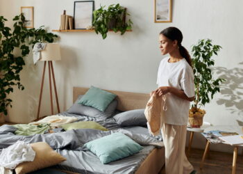 Plantas que promovem harmonia e bem-estar no lar