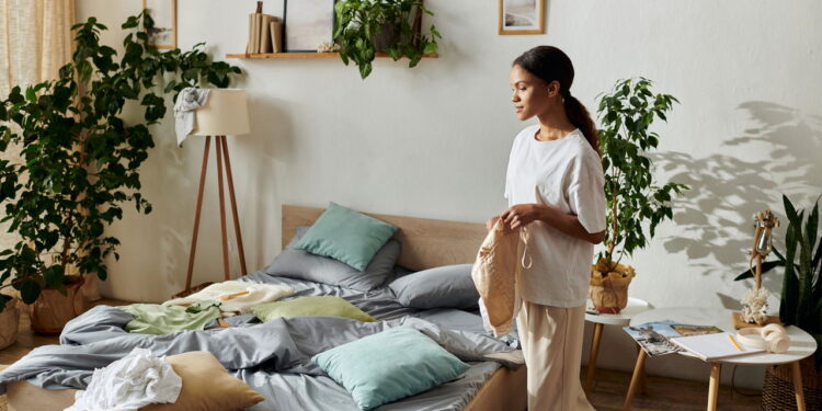 Plantas que promovem harmonia e bem-estar no lar