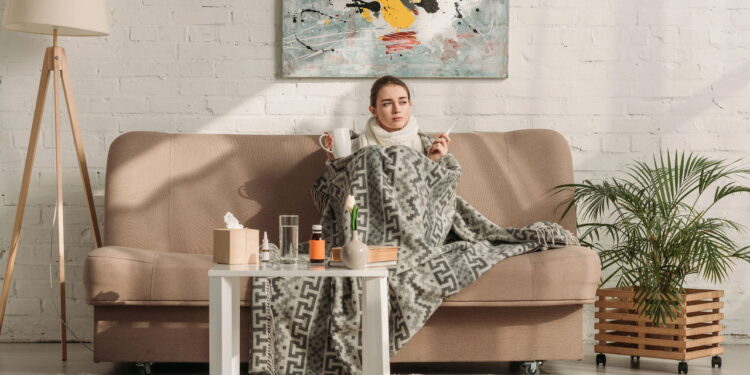 3 ervas que fortalecem as defesas naturais contra resfriados comuns