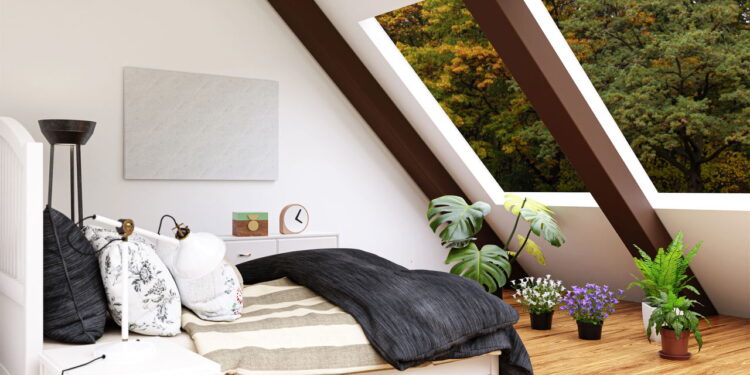 3 plantas que dão vida nova ao seu sótão com estilo ecológico