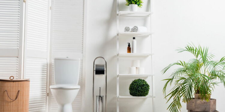 3 plantas secas ideais para decorar o seu banheiro