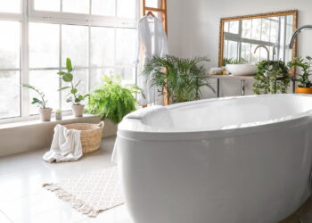 Plantas para decorar banheiros com frescor e estilo minimalista