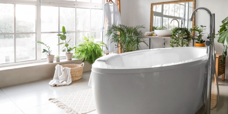 Plantas para decorar banheiros com frescor e estilo minimalista