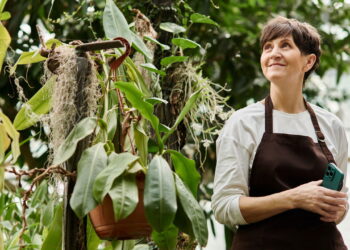 As melhores plantas calmantes para ansiedade e bem-estar