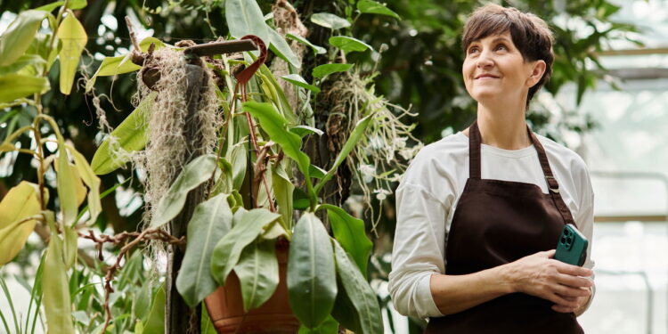 As melhores plantas calmantes para ansiedade e bem-estar