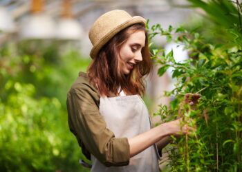 Essas plantas atraem vigor para caminhadas e atividades ao ar livre