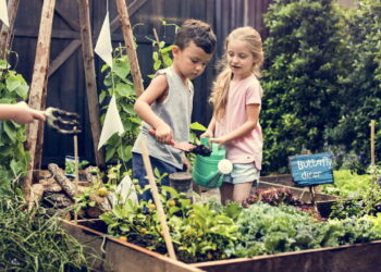 As 3 plantas que adaptam ambientes infantis com diversão verde e segurança inovadora