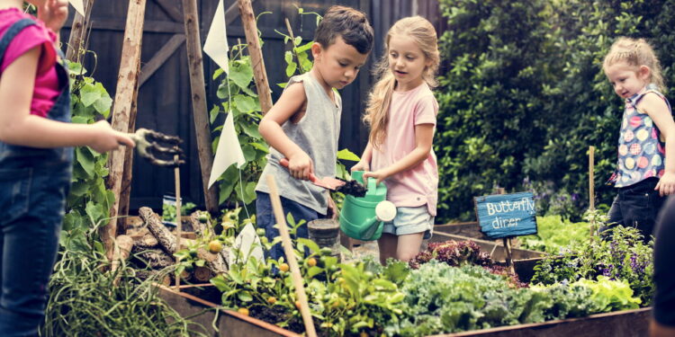 As 3 plantas que adaptam ambientes infantis com diversão verde e segurança inovadora