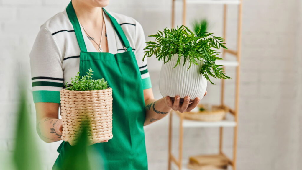 Melhores plantas para arranjar em mesas e criar refeições acolhedoras
