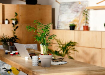 3 plantas poderosas que eliminam toxinas do ar da sua casa