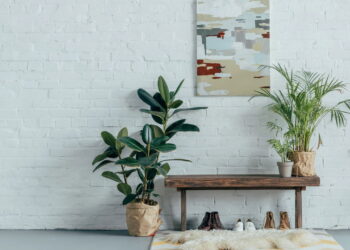 4 plantas tropicais que infundem energia exótica e acolhedora no ambiente