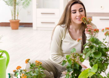 Como flores pequenas revolucionam a decoração de casa e o bem-estar