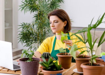 Tipos de plantas que atraem o azar para dentro de sua casa