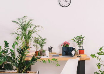 Plantas que adicionam movimento com folhas que se mexem ao vento