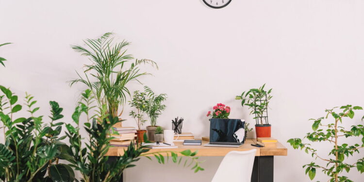 Plantas que adicionam movimento com folhas que se mexem ao vento