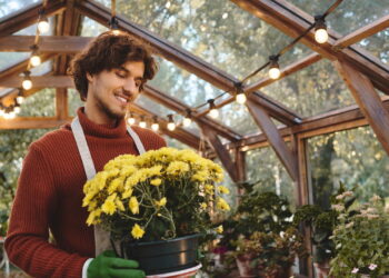 As 3 flores que anunciam a chegada da primavera